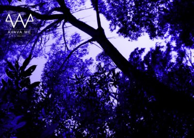 Abstract Trees in Blue